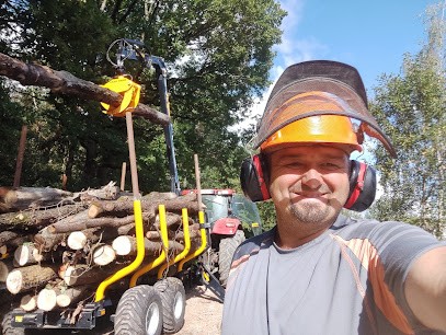 GT bois 01, Vendeur de Bois de Chauffage à Val-Revermont