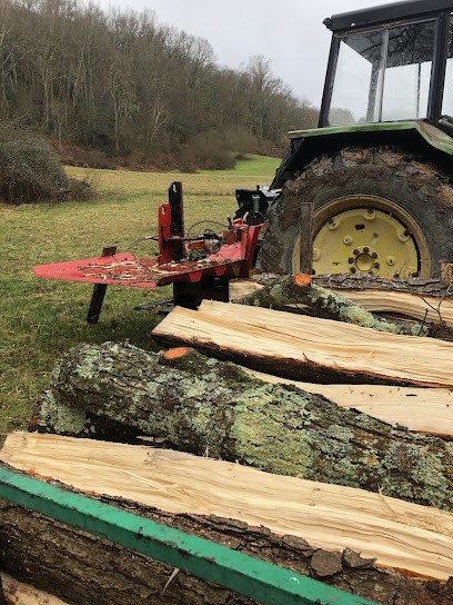 BLS SERVICES, Vendeur de Bois de Chauffage à Bonrepos