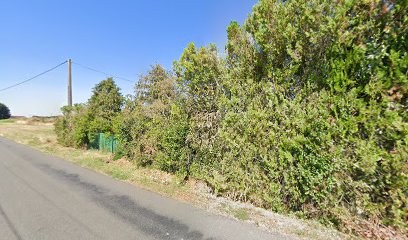 Bois Gendron, Vendeur de Bois de Chauffage à Saint-Ouen-en-Belin