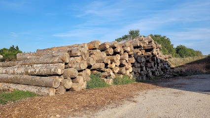 Saumade et Fils, Vendeur de Bois de Chauffage à Labruguière