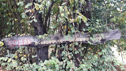 S.T.E.F.D Soc Travaux Environ Forestiers Donezan, Négociant en Bois à Rouze