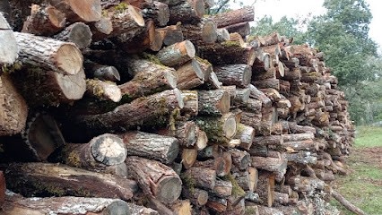 KNAP Damien, Vendeur de Bois de Chauffage à Saint-Gély-du-Fesc