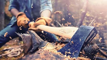 Bois du Villard, Négociant en Bois à Villar-Saint-Pancrace