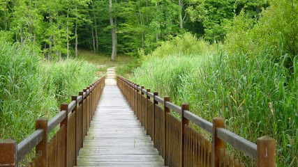 PENIN, Pont Bois, Passerelle Bois, Ponton Bois, Négociant en Bois à Villemurlin