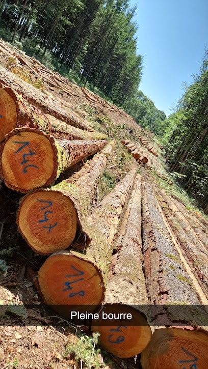 VA BOIS, Négociant en Bois à Ussel