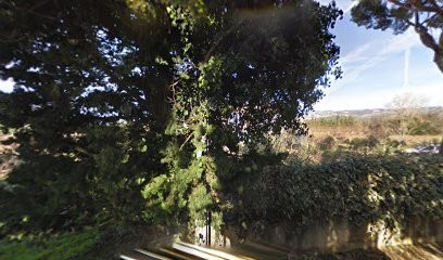 Tell Roland, Négociant en Bois à Sénas