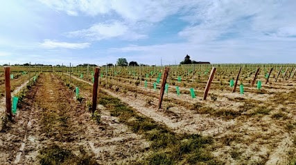 Sarl Debat Et Fils, Vendeur de Bois de Chauffage à Sainte-Croix-du-Mont