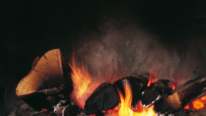 SOLSIVERT, Vendeur de Bois de Chauffage à Varennes