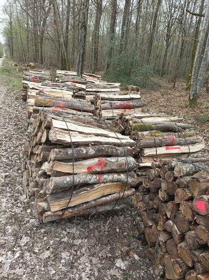 De La Forêt À La Cheminée, Vendeur de Bois de Chauffage à Fontvannes