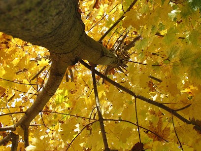 BOIS d'OVALIE, Vendeur de Bois de Chauffage à Vacquiers