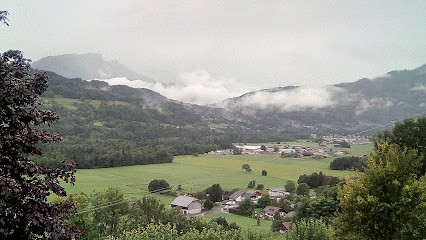 Devant Willy, Vendeur de Bois de Chauffage à Taninges