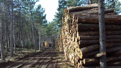 Exploitation Forestière de l'Ubaye, Vendeur de Bois de Chauffage aux Thuiles