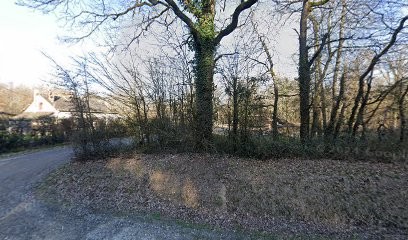 Groupement Forestier De La Foret D'amboise, Vendeur de Bois de Chauffage à Amboise