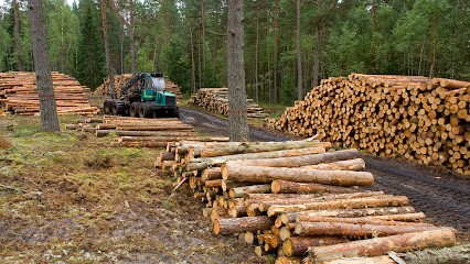 Imbert Michel-Magasin de bois de chauffage, Vendeur de Bois de Chauffage à Ozoir-la-Ferrière
