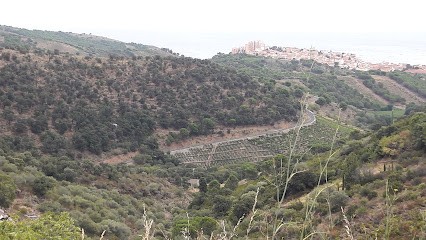 Solane Père et Fils (SARL), Vendeur de Bois de Chauffage à Banyuls-sur-Mer