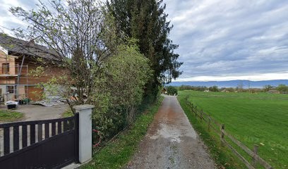 VALENTIN MAXIT - Bois de chauffage, Vendeur de Bois de Chauffage à Champanges