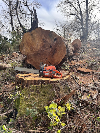 Sas Machja D'avvene, Bois De Chauffage à Volpajola