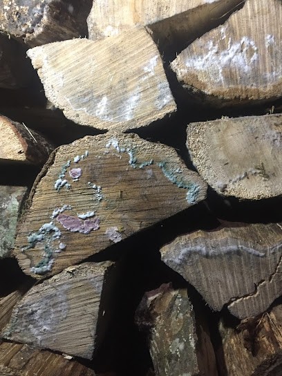 Gerin Patrick, Vendeur de Bois de Chauffage à Sorbiers