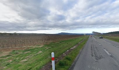 Vitalis Arnaud, Vendeur de Bois de Chauffage à La Redorte