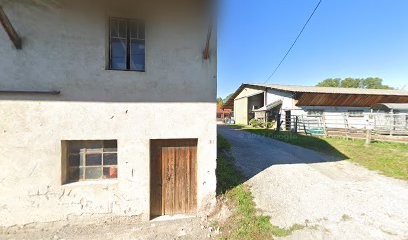 Jacquier Gilles, Vendeur de Bois de Chauffage à Margencel