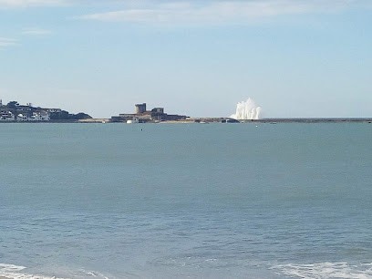 Gedibois Durruty Bois - Saint-Jean-de-Luz, Négociant en Bois à Saint-Jean-de-Luz