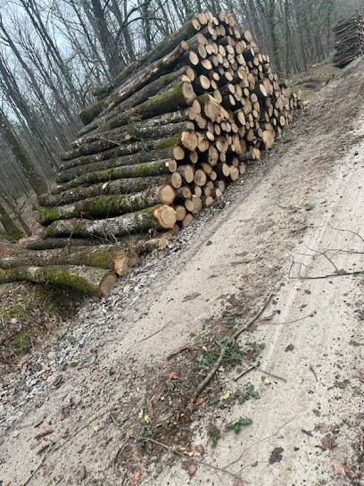 Presty Bois Service, Vendeur de Bois de Chauffage à Vierzon