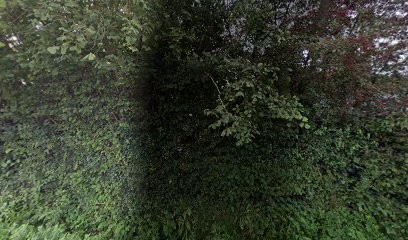 Agrifor Corp, Vendeur de Bois de Chauffage à Saint-Martin-d'Aubigny