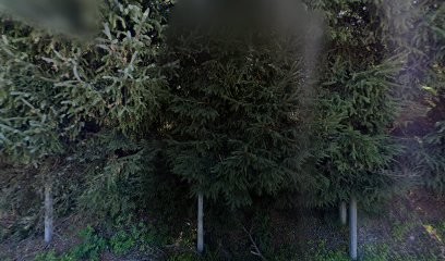 ETS Charrel Bois, Vendeur de Bois de Chauffage à Saint-Didier-en-Velay