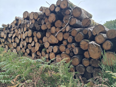 Arcom Bois Sarl, Négociant En Bois à Thaumiers