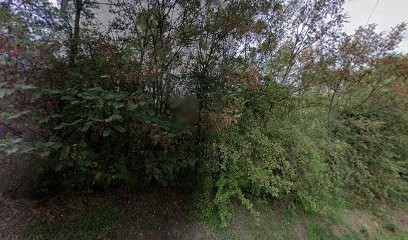 TotalEnergies Proxi Sud Est (CLMB), Vendeur de Bois de Chauffage à Saint-Étienne