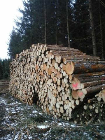 Poyet Laurent:Poyet Laurent: Gestion et Exploitation Forestiere Haute-Loire-Loire-Ardeche, Négociant en Bois à Mazet-Saint-Voy