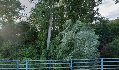 Perrier Bois, Négociant en Bois à Melay