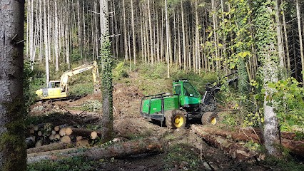 Belarbre, Négociant en Bois à Belleherbe
