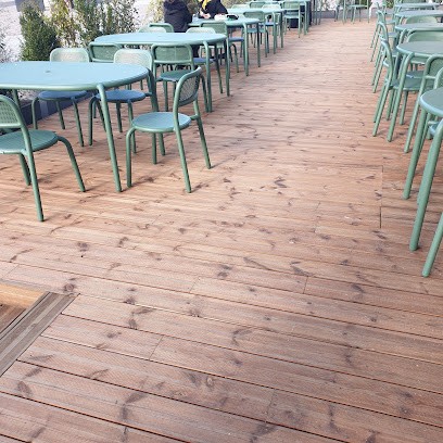 Terrasses et Bois du Maine, Négociant en Bois à Mozé-sur-Louet