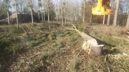 Willwood SAS, Vendeur de Bois de Chauffage à Saulzais-le-Potier