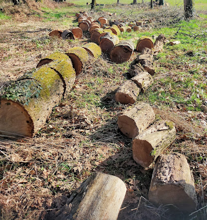 Le Bois Gelouxois Bois De Chauffage à Geloux