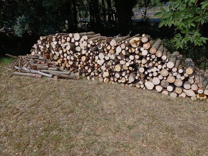 DAVID BERTHONNAUD DECOUPE ET LIVRAISON DE BOIS DE CHAUFFAGE COGNAC, Négociant en Bois à Nercillac