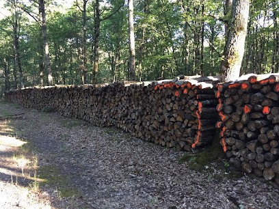 Le Ruisseau, Vendeur de Bois de Chauffage à Thorée-les-Pins
