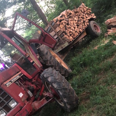 AC Bois de Chauffage, Vendeur de Bois de Chauffage à Chémery-Chéhéry
