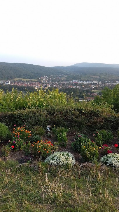 Metz Olivier, Vendeur de Bois de Chauffage à Still
