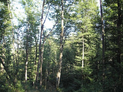 Fournier Roger, Vendeur de Bois de Chauffage à Arpajon-sur-Cère