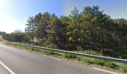 Raynal Eric Simon Baptiste, Vendeur de Bois de Chauffage à Villeneuve