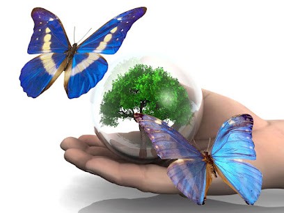 Algbois, Vendeur de Bois de Chauffage à Aigrefeuille-sur-Maine