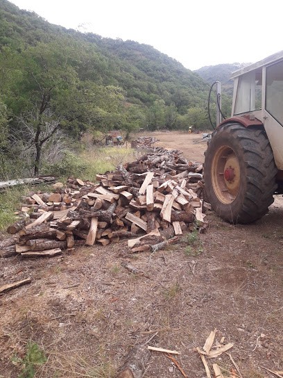 LUCHAIRE RENAUD BOIS DE CHAUFFAGE ET SCIAGE DE BOIS D'OEUVRES ET CONSTRUCTIONS, Vendeur de Bois de Chauffage à Lunas