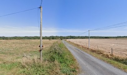 Alg Paysage, Vendeur de Bois de Chauffage à Aigrefeuille-sur-Maine