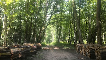 Basile Loic Bois De Chauffage, Vendeur de Bois de Chauffage à Villiers-Vineux