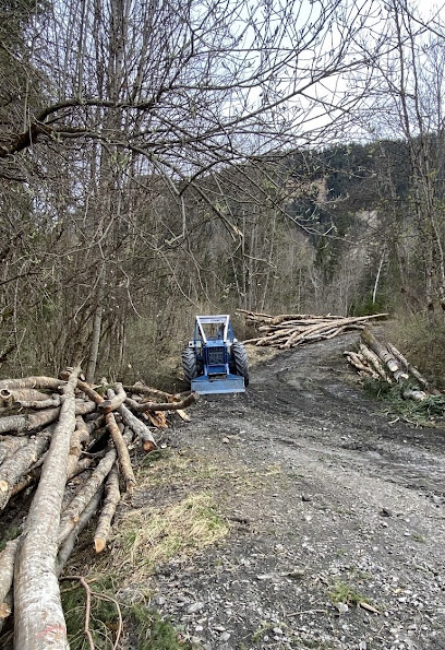 Bois De Chauffage Léo Chaumaz, Bois De Chauffage à Fontcouverte-la-Toussuire