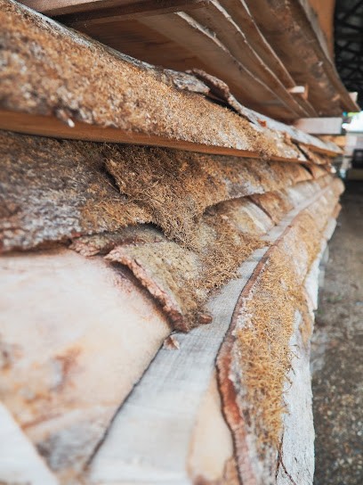 Lucas Bois, Négociant en Bois au Havre
