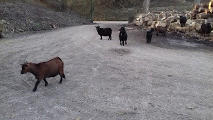 Derat Hubert, Vendeur de Bois de Chauffage à Verchin