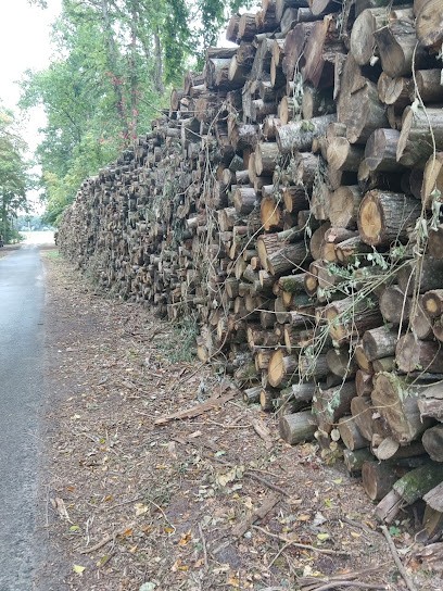 Bois de chauffage, Vendeur de Bois de Chauffage à Villiers-sous-Grez